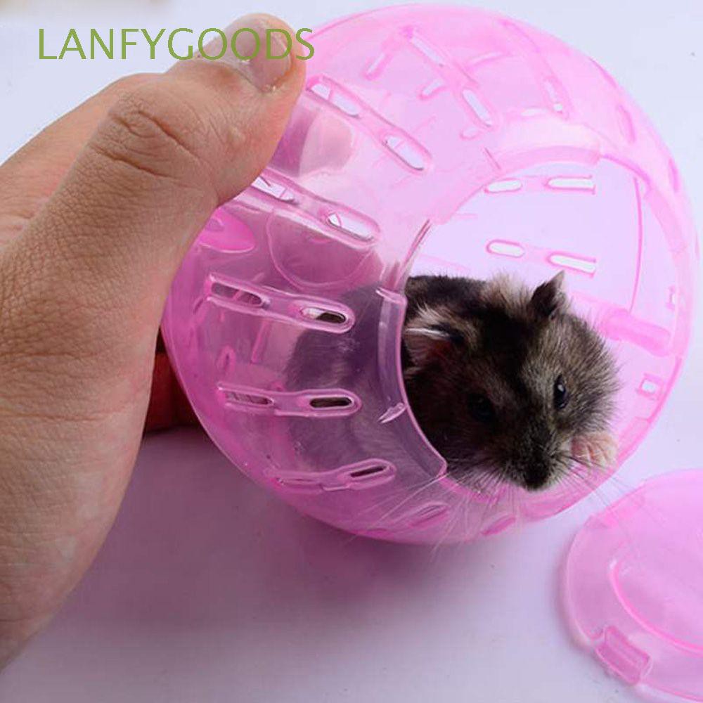 mini hamster ball