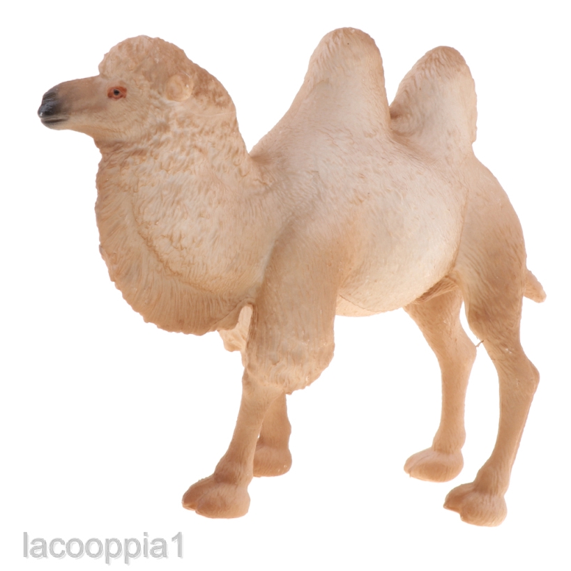 camel toys near me