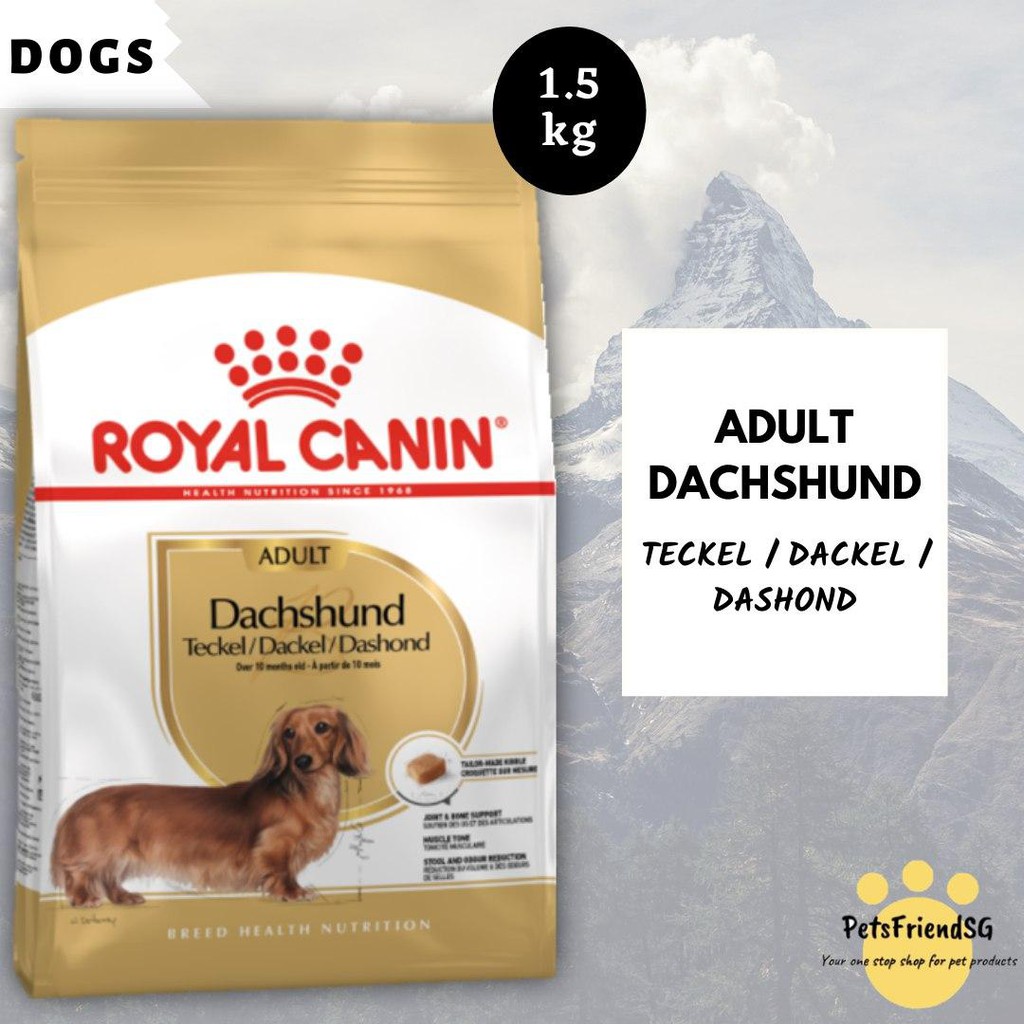 royal canin dachshund teckel