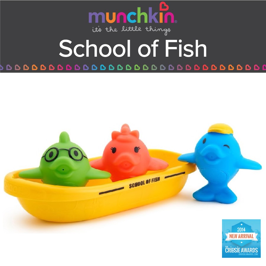 munchkin school of fish