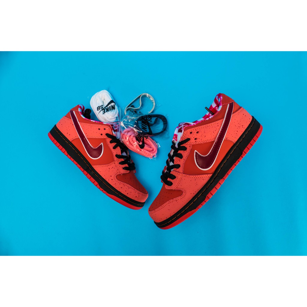 nike sb orange lobster