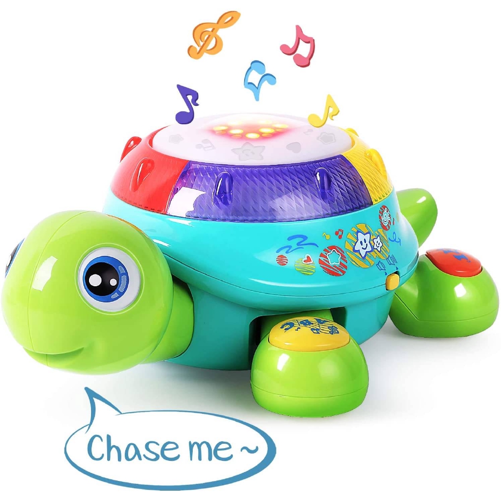 Music Turtle Toy English Learning 