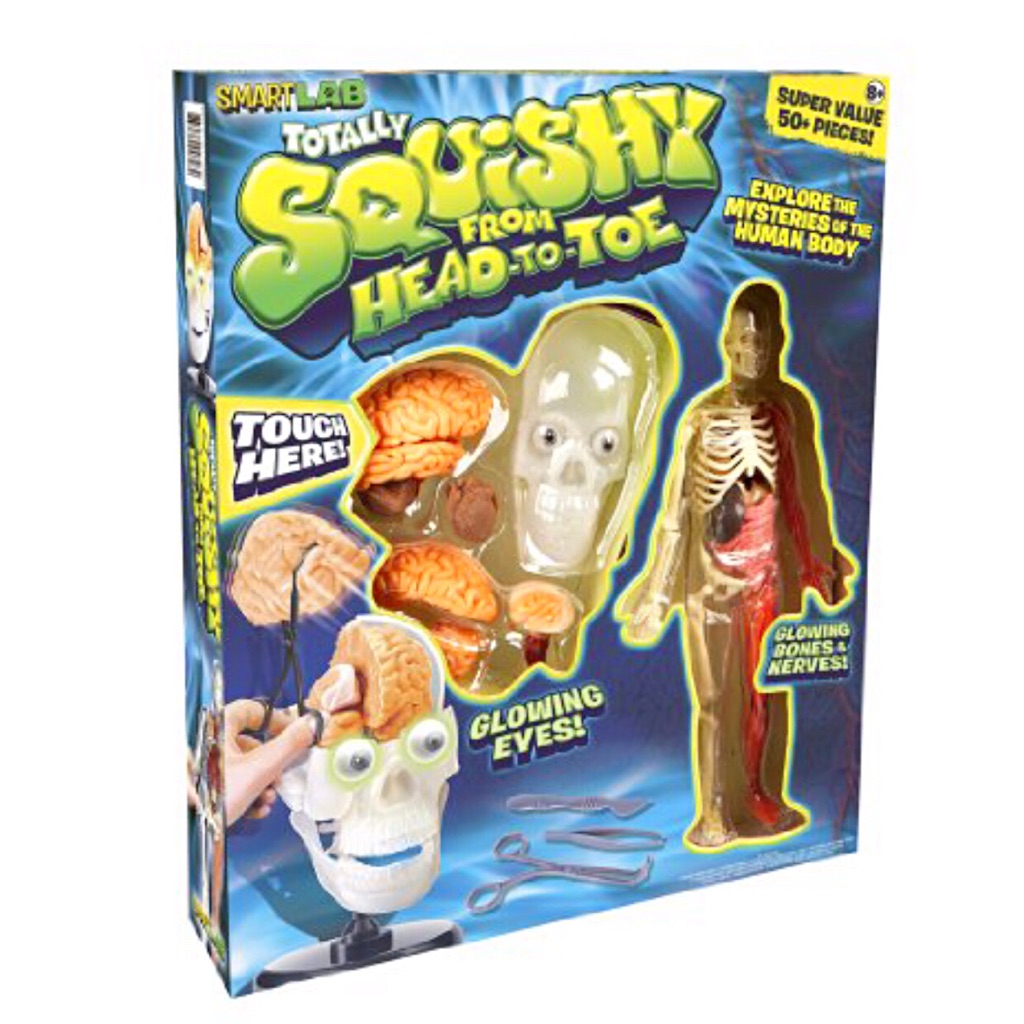 human body toys for kids