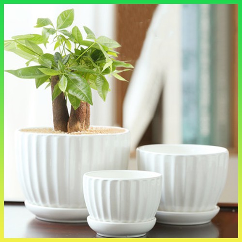 Ceramic Pot Minimalist Chinese Style Modern Green Plant Ceramic Flower Pot With Pot Tray Shopee Singapore