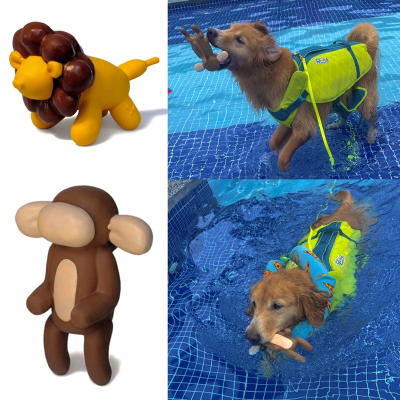 balloon toy for dogs