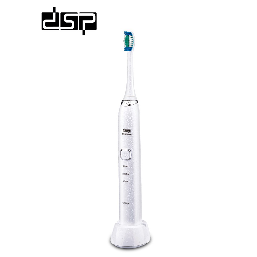 gloridea toothbrush