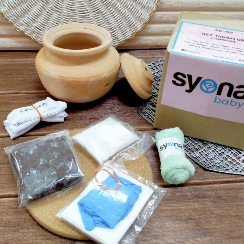 Shop Malaysia Set Of Uri Baby Plants Land New Arrival Shopee Singapore
