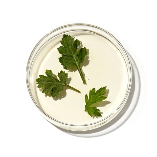 artemisia rice toner