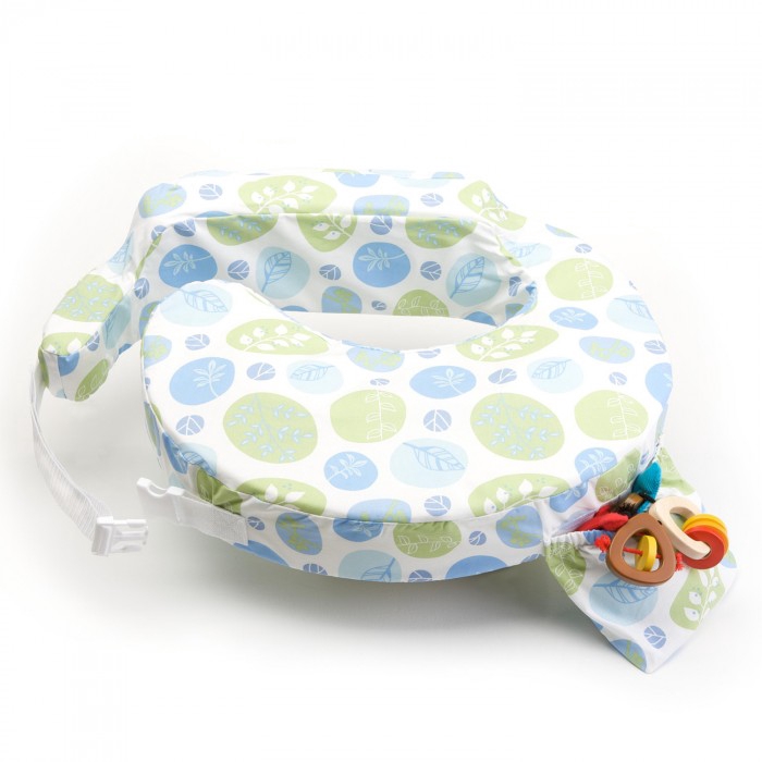 brest friend slipcover