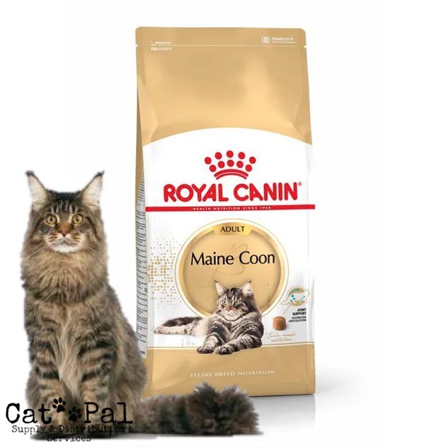 royal canin maine coon 4kg