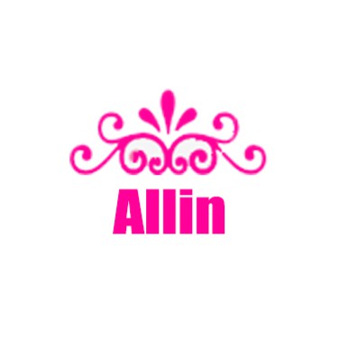 Allin Mall store logo