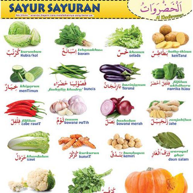 Educational Poster Learning Muslim Child Islamic Sunnah Indonesian Arabic Name Counting Worship Shopee Singapore