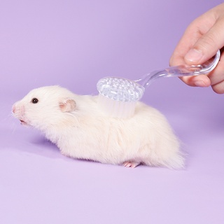 Hamster Soft Hair Comb Long-Haired Golden Bear Daily Necessities Small Brush RabbitTotoro Hedgehog Hamster Grooming
