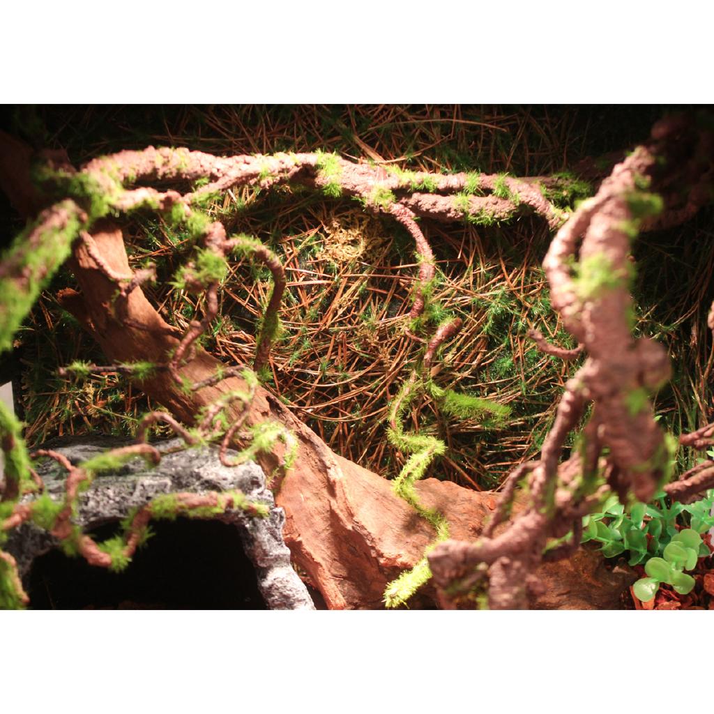 Reptile Supplies Repital Climbing Jungle Vine Jungle Artificial