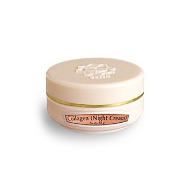Viva Collagen Night Moist Day Cream 22g Singapore