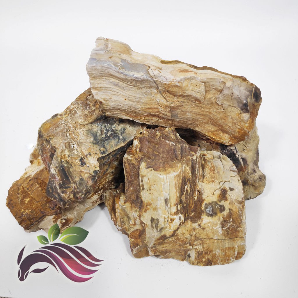 Stone Wood Fossil Rock 1kg Aquascape Garden Landscape Deco 1kg By Ls Group Shopee Singapore