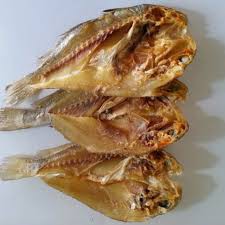 Ikan Kering Gelama Belah Bermutu Shopee Singapore