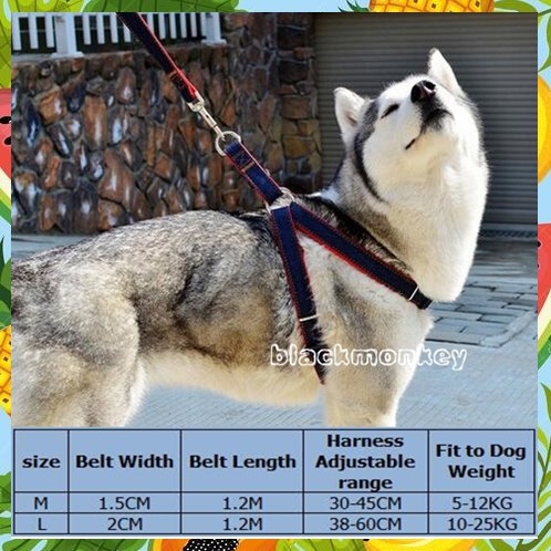rope dog harness