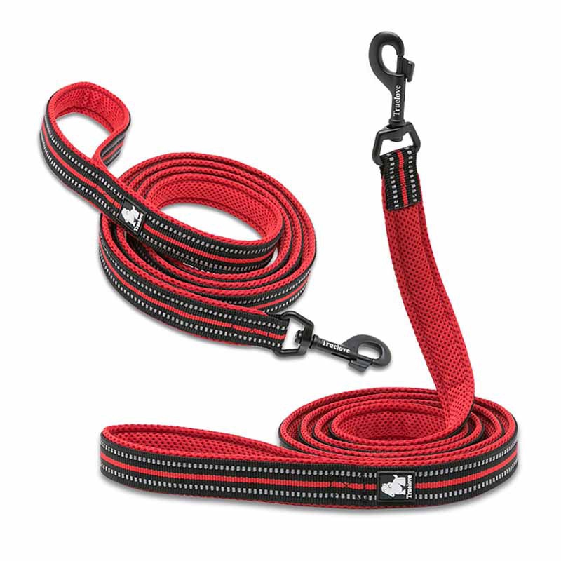 New Zee Dog Slip On Rope Leash 1.5m Red with Yellow Trim 