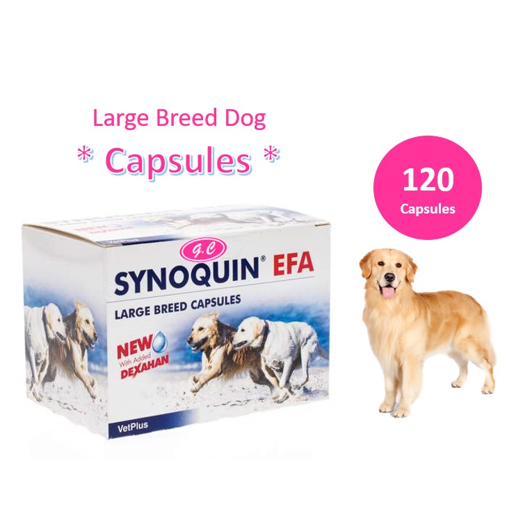 synoquin efa large breed 120