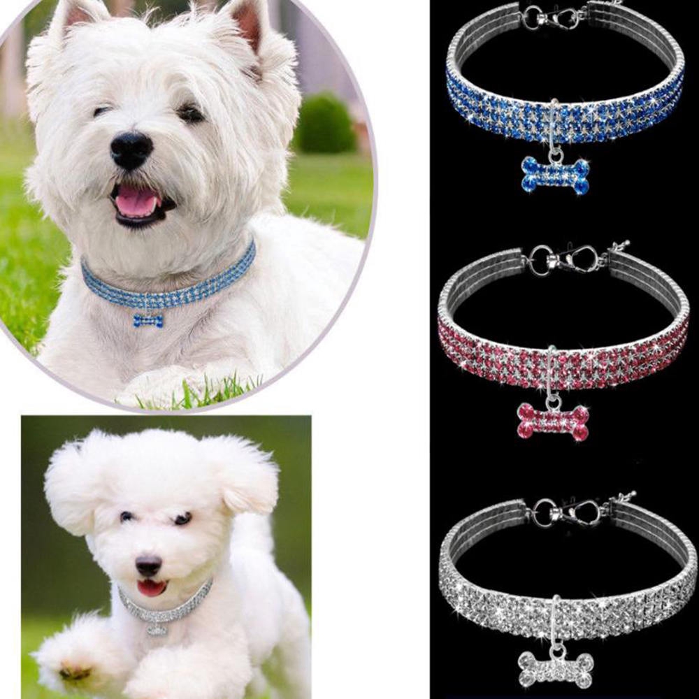 dog necklace picture