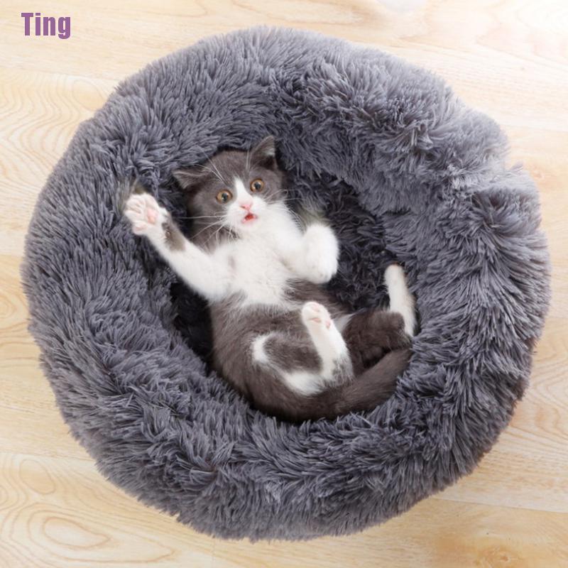 comfortable cat bed