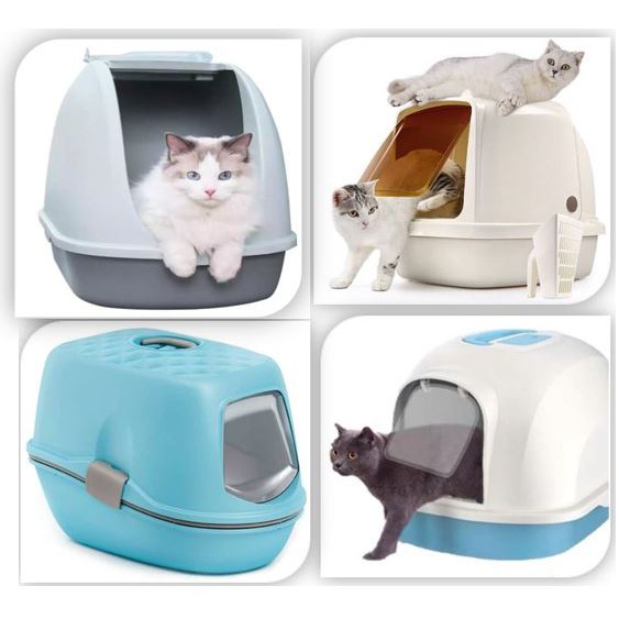 closed litter box