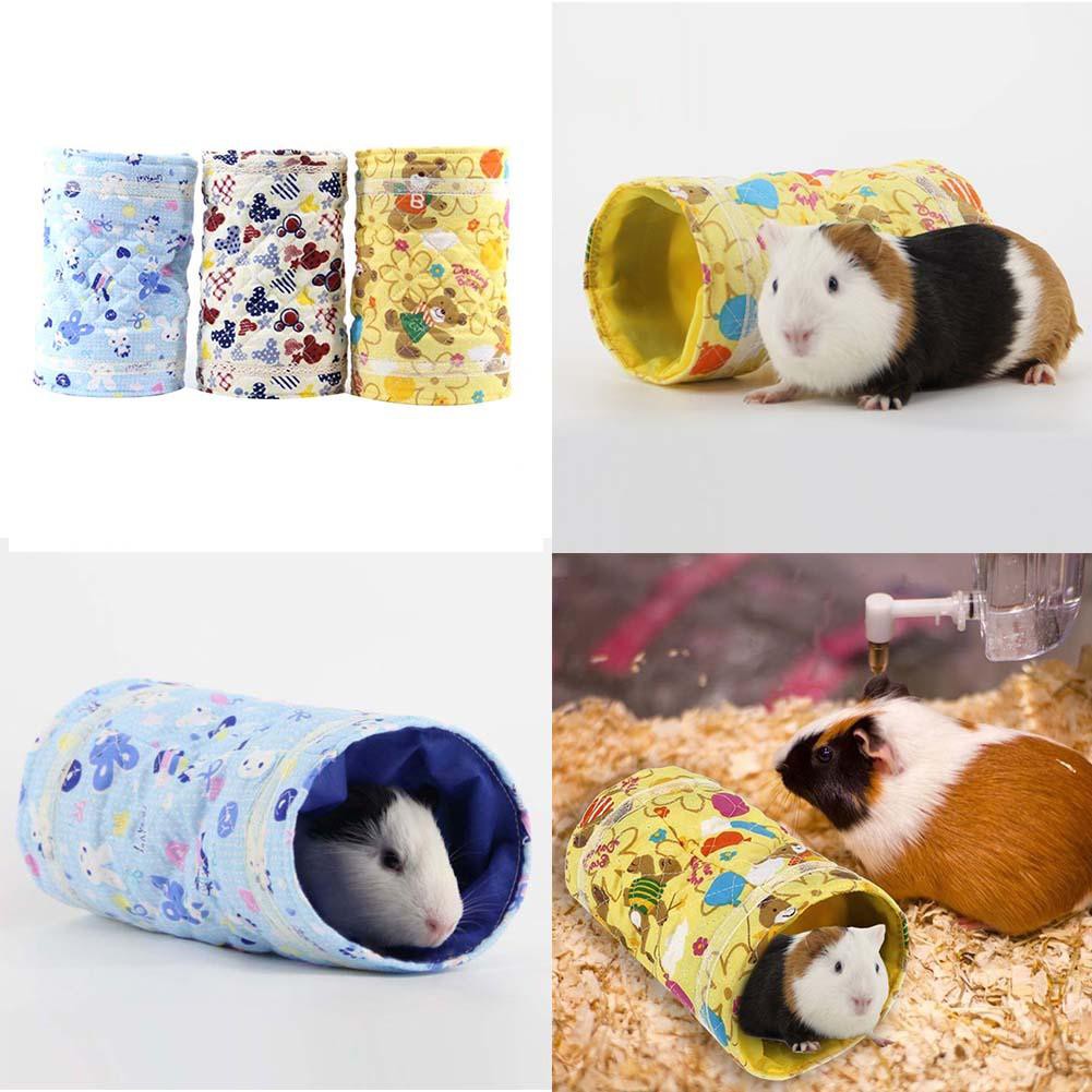 Guinea Pig Chew Toys Diy Wow Blog
