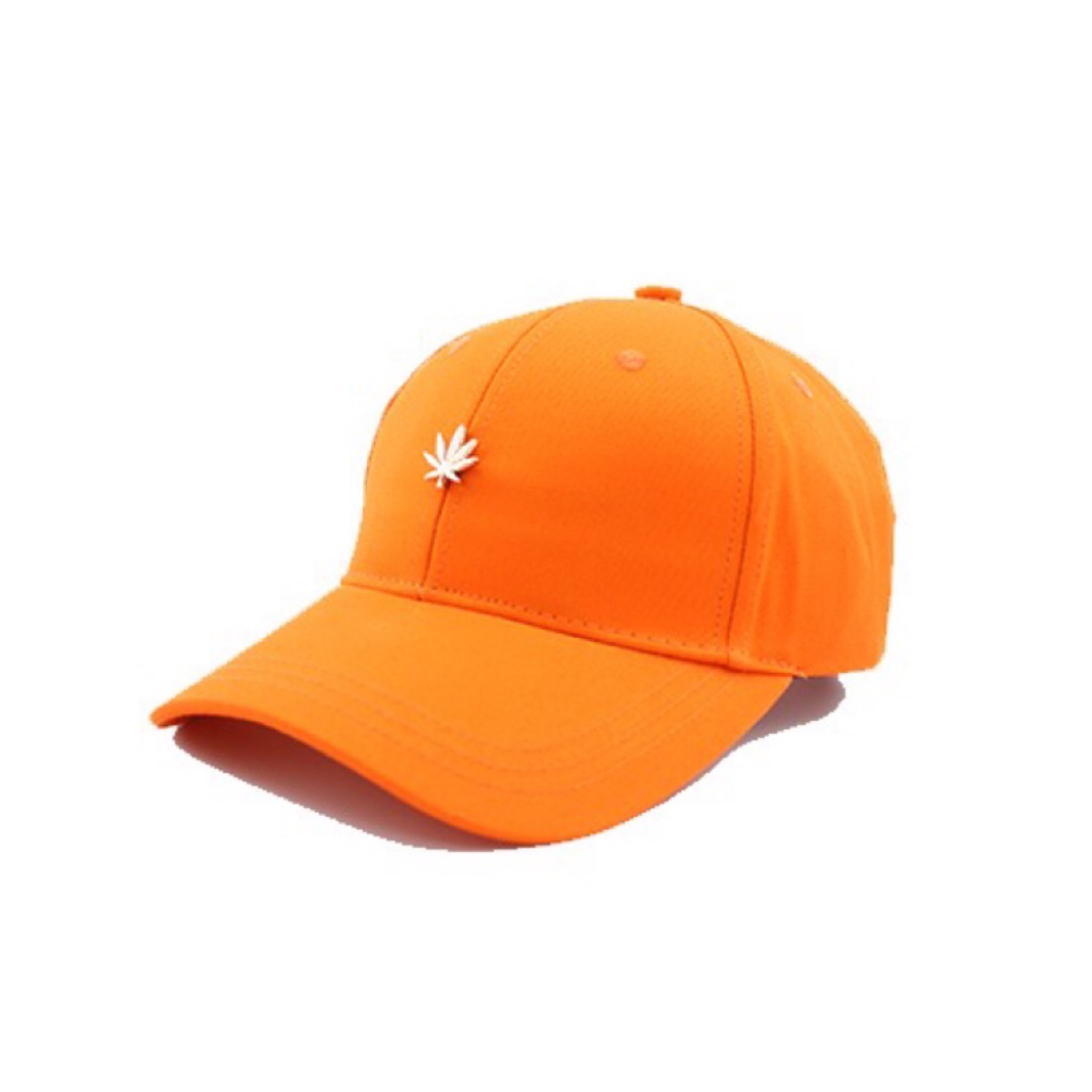 hater strapback