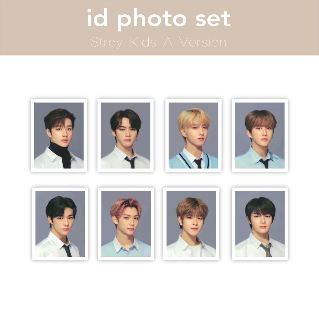 Art Paper 260 Stray Kids All Member Id Photo Set 3x4cm For Collection Shopee Singapore