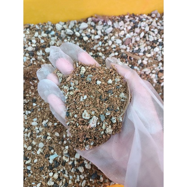 [ SG READY STOCK ] 1kg Coco Peat Succulent soil cactus soil peat and