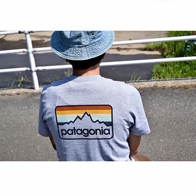 patagonia men's daily tee