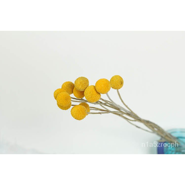 Dried Flowers Bouquetins Wind Natural Pure Color Yellow Golden Ball Home Decoration Office Flower Arrangement Flower Del Shopee Singapore