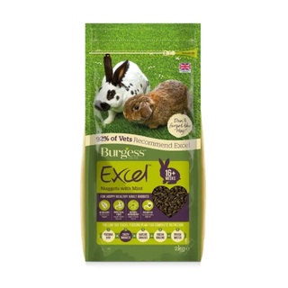 Burgess Excel Tasty Nuggets With Mint For Adult Rabbit #0