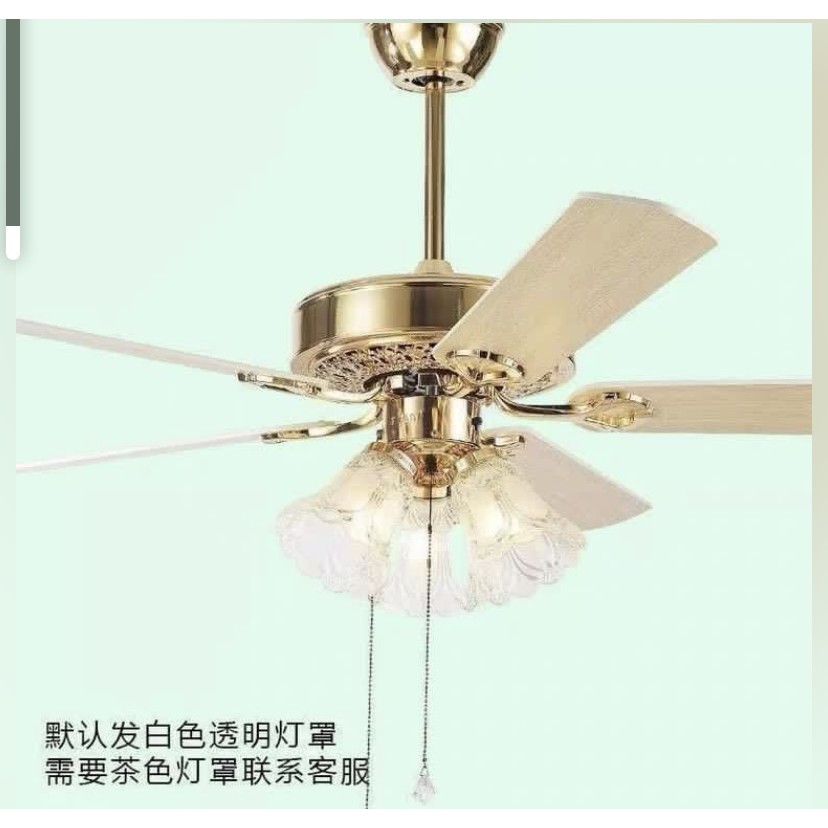 Led Ceiling Fan With Light Shopee Singapore