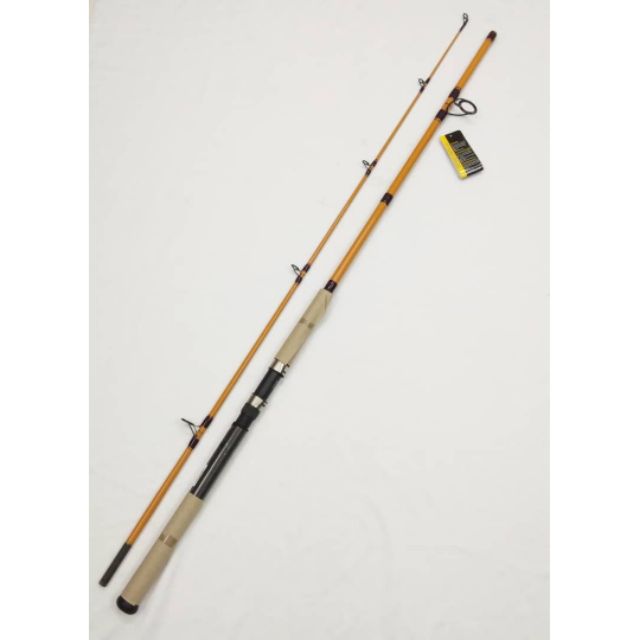 daiwa ft surf rod