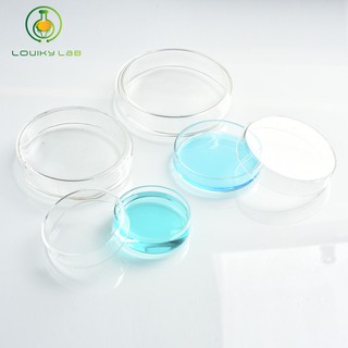 60/75/90/100/120/150mm Glass Petri culture dish For Laboratory 
