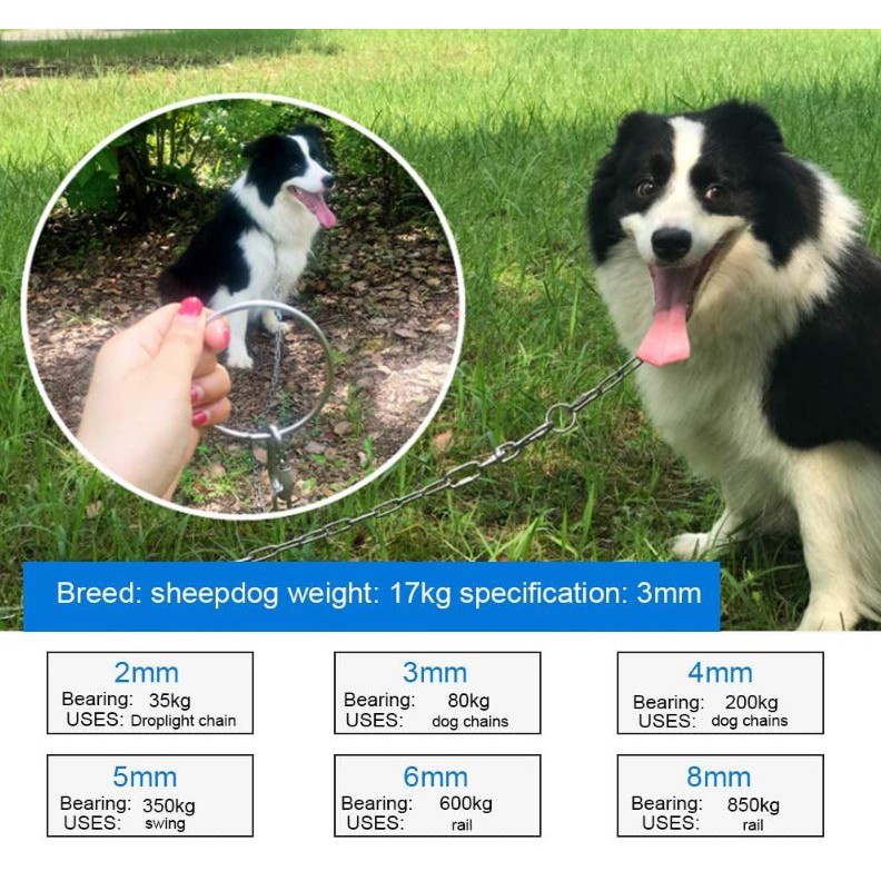 Stainless Steel 304 Chain Dog Chain Kitchen Organiser Shopee Singapore