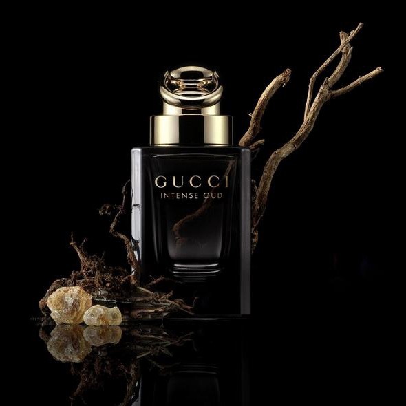 gucci intense oud for sale