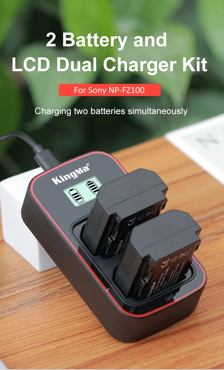 NEEWER NP-FZ100 Kit Chargeur de Batterie de