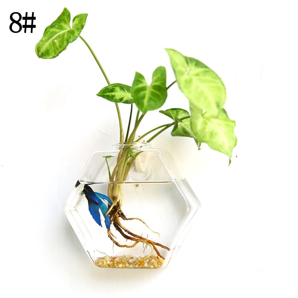 Hanging Glass Flower Vase Ball Wall Terrarium Fish Tank Shopee