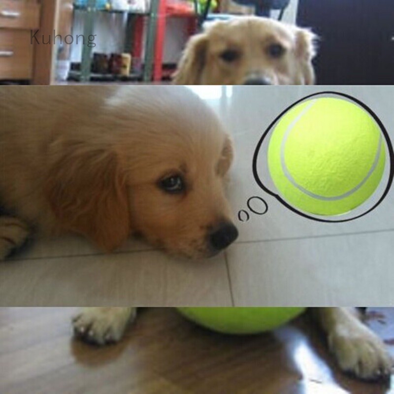 big tennis ball for dogs