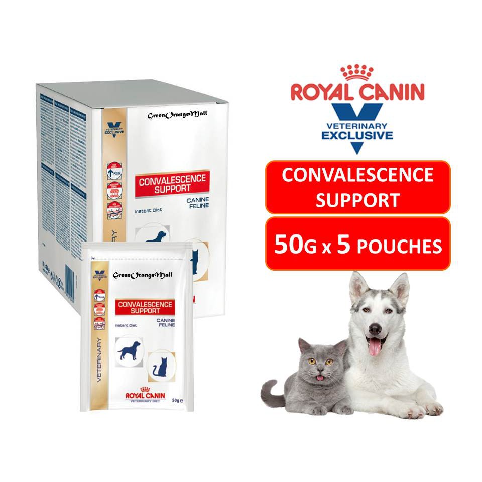 royal canin convalescence support feline