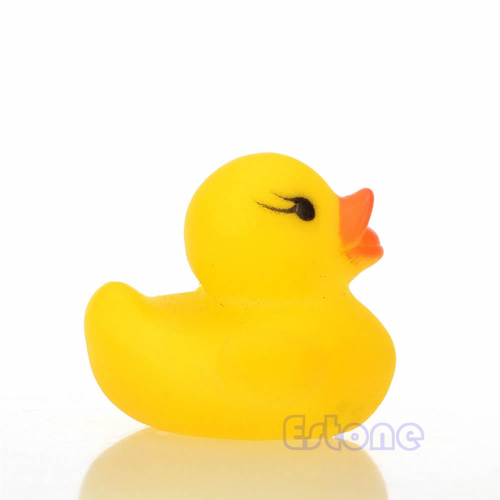 squeaky duck toy