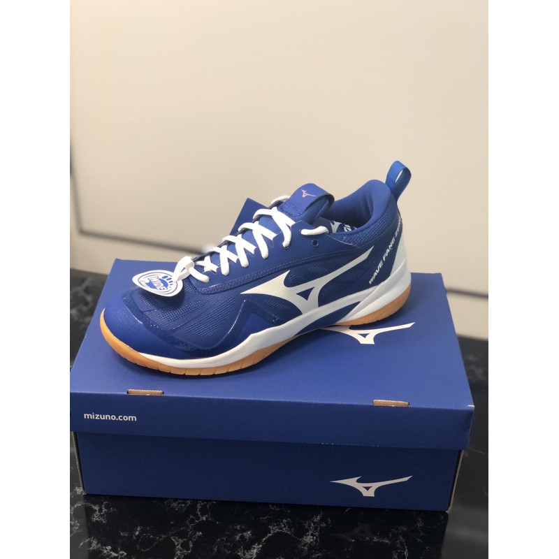 mizuno badminton shoes singapore