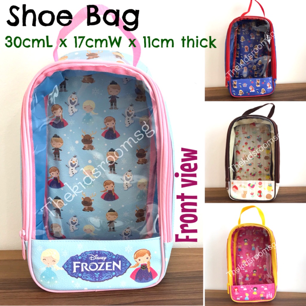 stylish carry bag