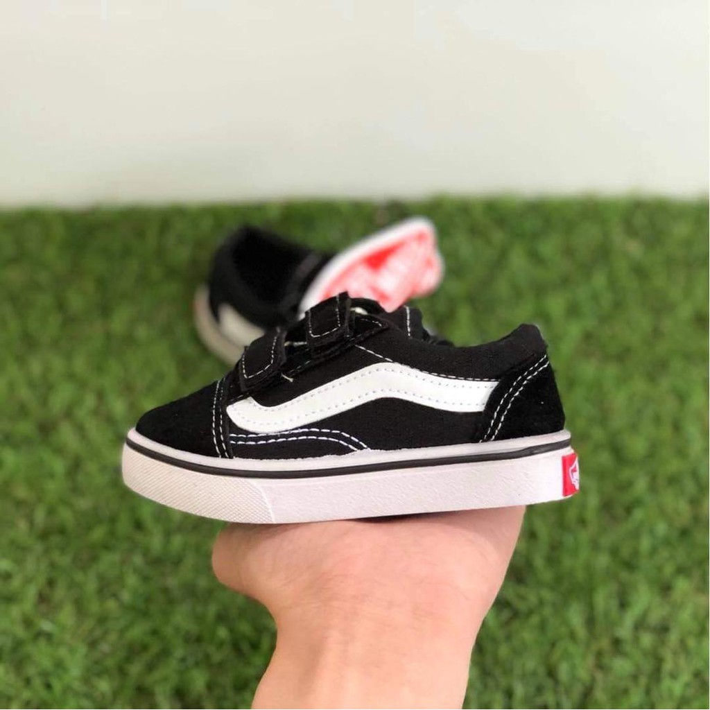 vans kids sg