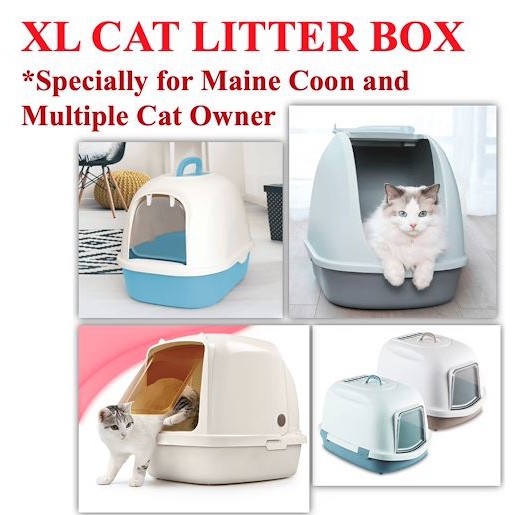 cat litter box shopee