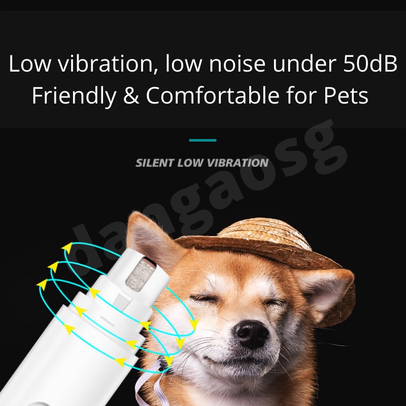 bg
