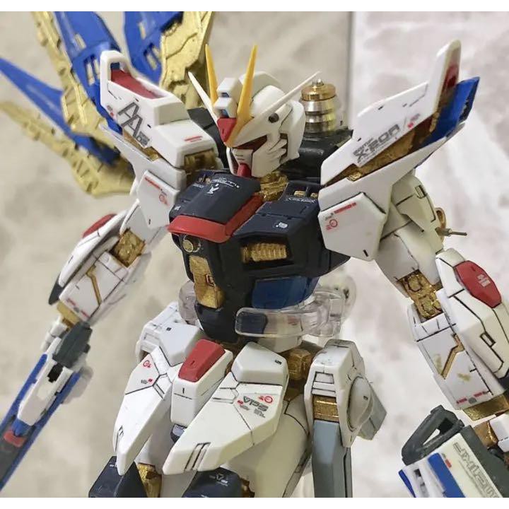Japan Imports Gunpla Rg Strike Freedom Gundam Single Wing Metal Specification Shopee Singapore